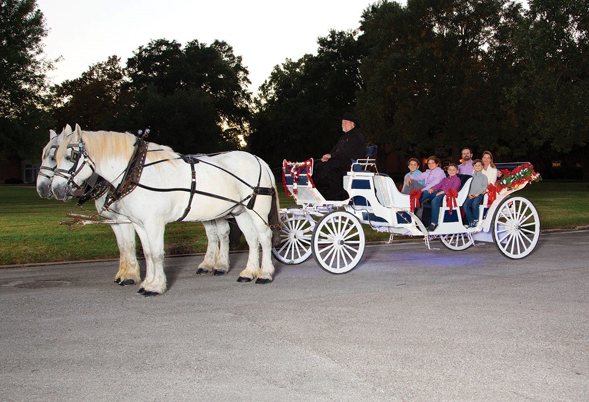 carriage-rides-the-buzz-magazines